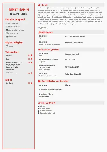 Ressam Cv Örnekleri cv indir